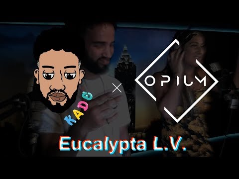 Kade's Club Mix with Eucalypta LV (UKG/FUNKY)