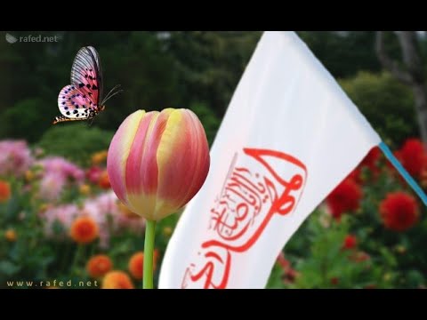 ⁣ولادة الإمام المهدي المنتظر (عج) (1431هـ) -2