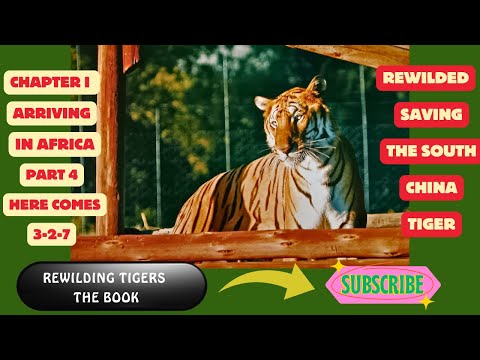 Rewilded Chapter 1: Part 4 - Here Comes 327