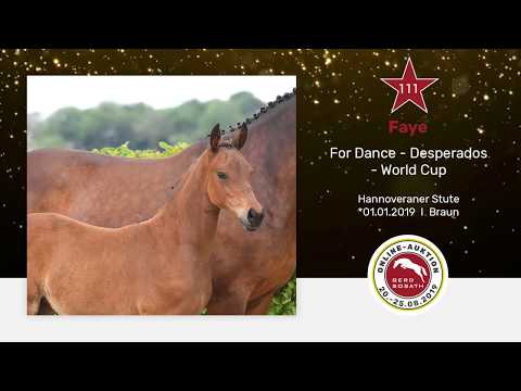 111 Faye Stutfohlen von For Dance aus der Deichkind von Desperados x Golfclub II