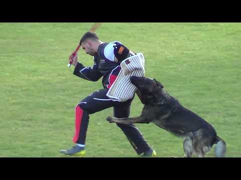 WUSV 2021 AUT 5 - OBERTAXER OTMAR & VEITH VOM HAUS PIXNER C 93