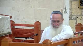 שלוש איגרות שלח יהושע – שיעור 33 – ספר יהושע פרק חט