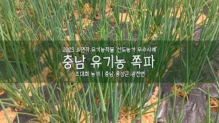 충남 유기농 쪽파