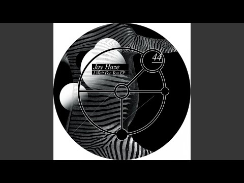 I Wait For You feat. Laila Tov (Original)