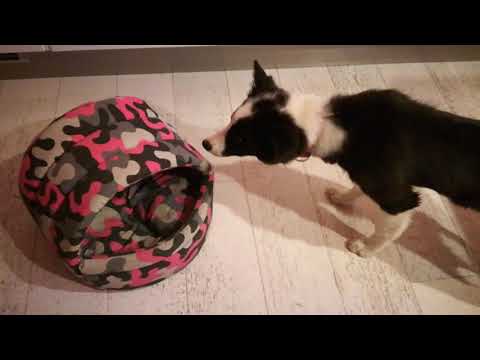 Caccia al tesoro Trilly Milly