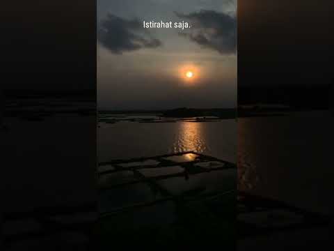 Pecundang or Pejuang #trending #videoshort #sajak