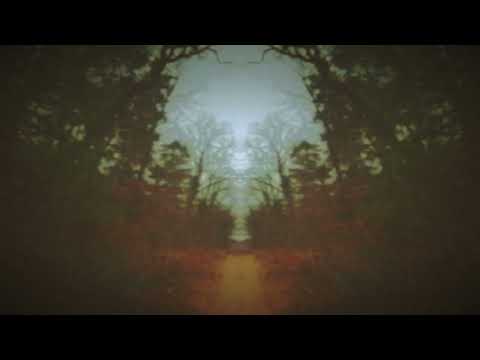 CausaliDox - FringeWalker