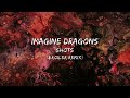 Imagine Dragons - Shots (Broiler Remix) (Lyrics)