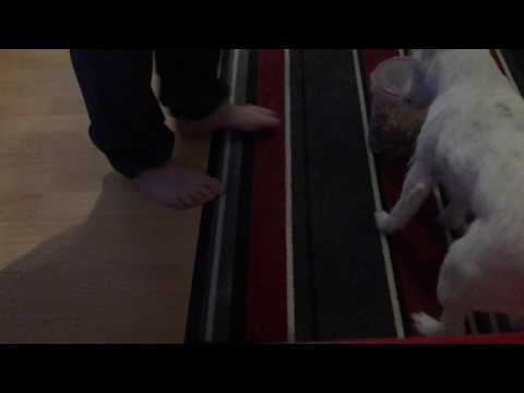 2017-02-08 Herum Campari 1