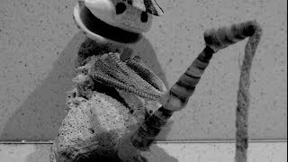 The fisherman (SHORT FILM)