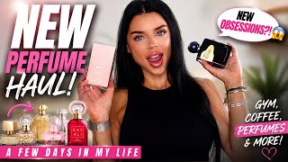 PERFUME HAUL, GYM DAYS & LIFE LATELY (Vlog) | Mila Le Blanc 2026