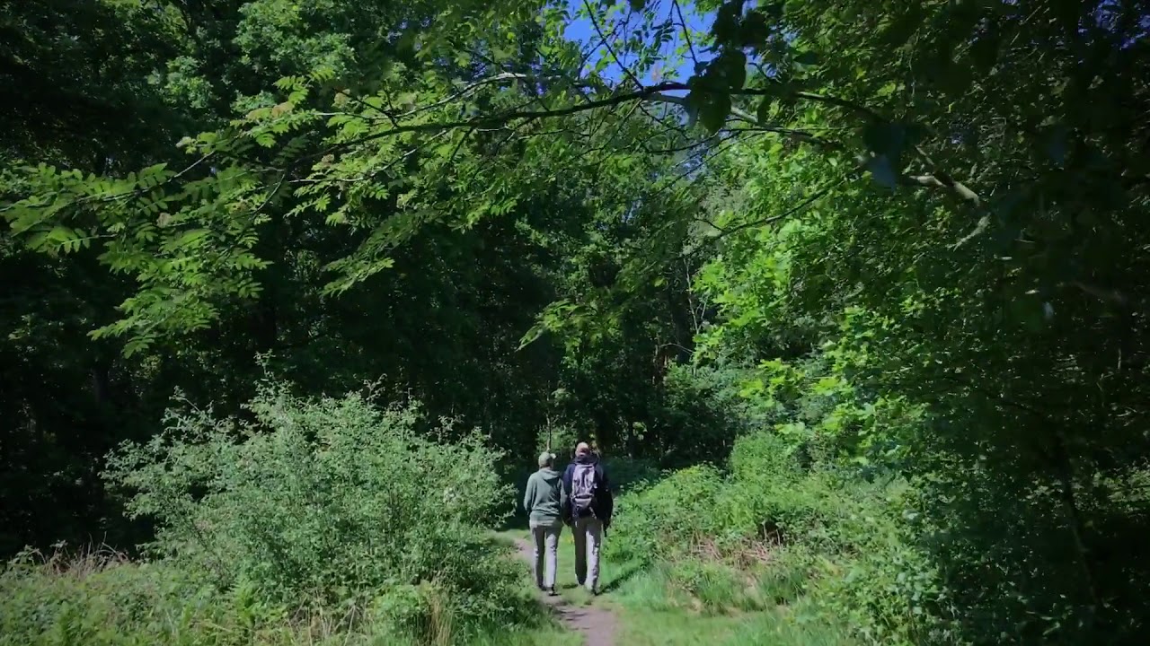 Wandelroute Appelbergen