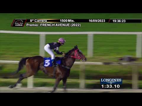 230916 c08 PRINCE LUCAS (BRZ)