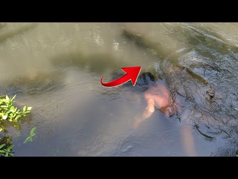 SE03PP055 - WAG KANG KUKURAP | ISANG KISAP MATA ( Catch & Cook ) San Pablo City, Laguna