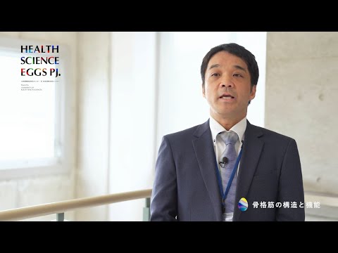 【研究室紹介 #5】骨格筋の構造と機能