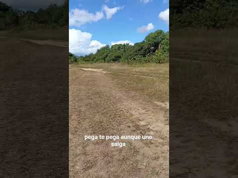 Pérdido en el Monte en Ituzaingó Corrientes Objetivo 🎯 Playa las Mil