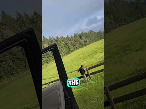 Can You Actually Reach the End of a Rainbow? 😳 #shorts