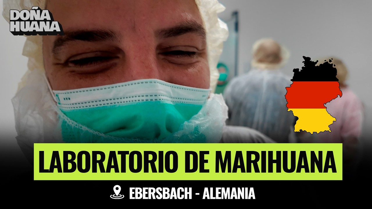 ¿Qué hay dentro de la FÁBRICA DE MARIHUANA más grande de Alemania? - DEMECAN