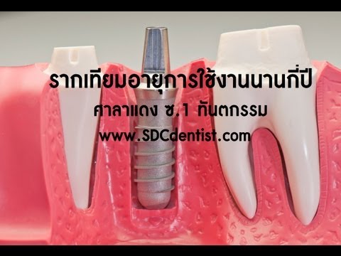 ฉันได้รับการเปิดหน้าอกเล็ก ครีมเพิ่มเต้านม