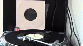 Pavan Meets Slummer in Dub feat. Tender G - Spider & Fly (Steppers Delight Remix)