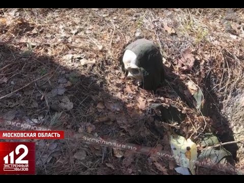 Скелет, скованный цепями и в наручниках!