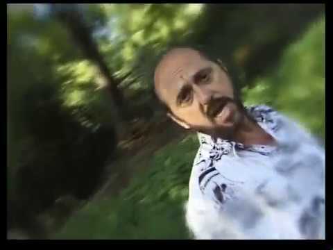 Tamás Gábor - A violák