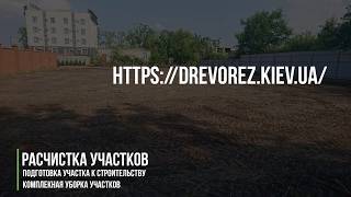 youtube-thumb