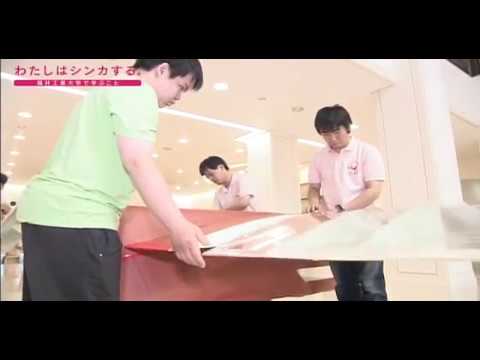 わたしはシンカする。 〜鳥人間プロジェクト〜