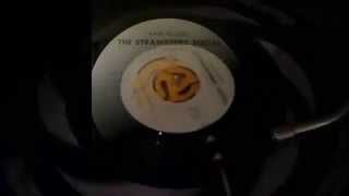 The Strawberry Social -  Love Minus Zero / No Limit