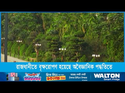 রাজধানীতে বৃক্ষরোপণ হয়েছে অবৈজ্ঞানিক পদ্ধতিতে