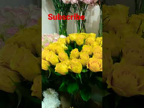 Flowers#dubai#hatta#muzira #shorts