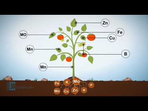 Croplan Biosciences Video