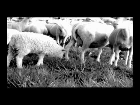 Retrogott / Slomo : all i retrogott