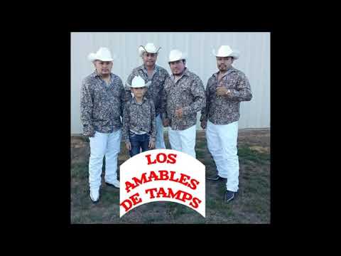 LOS AMABLES DE TAMPS MIX POLKAS