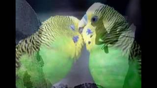 ETERNO EM MIM - MARIA BETHANIA