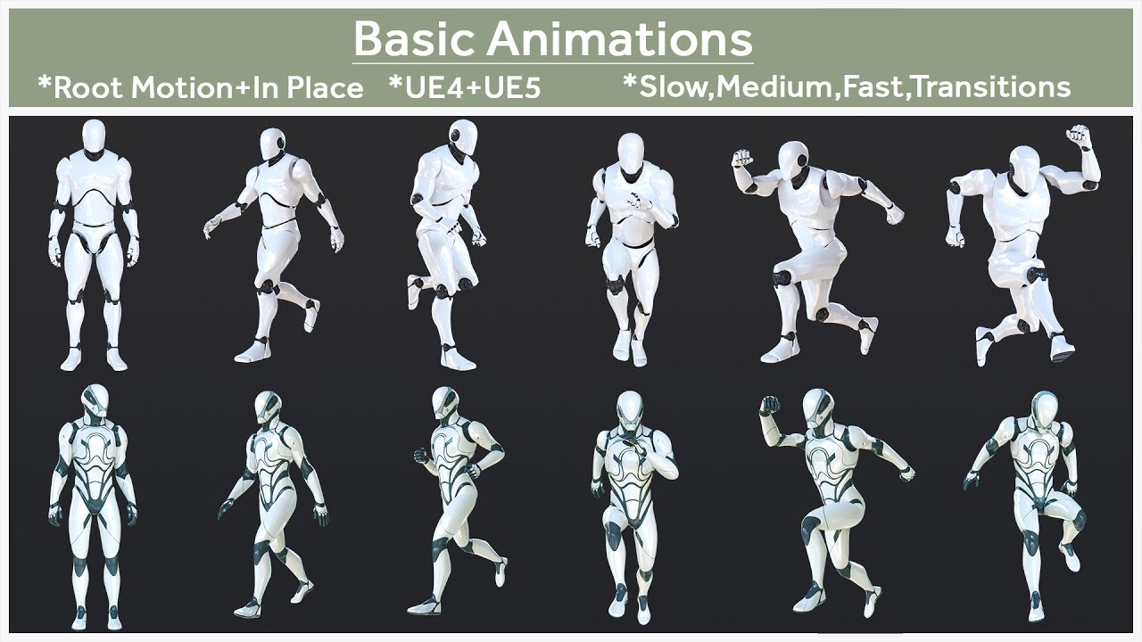 Basic Animations 3D Model