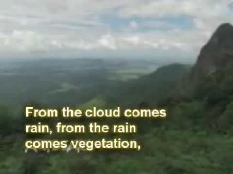 His effulgence of energy.