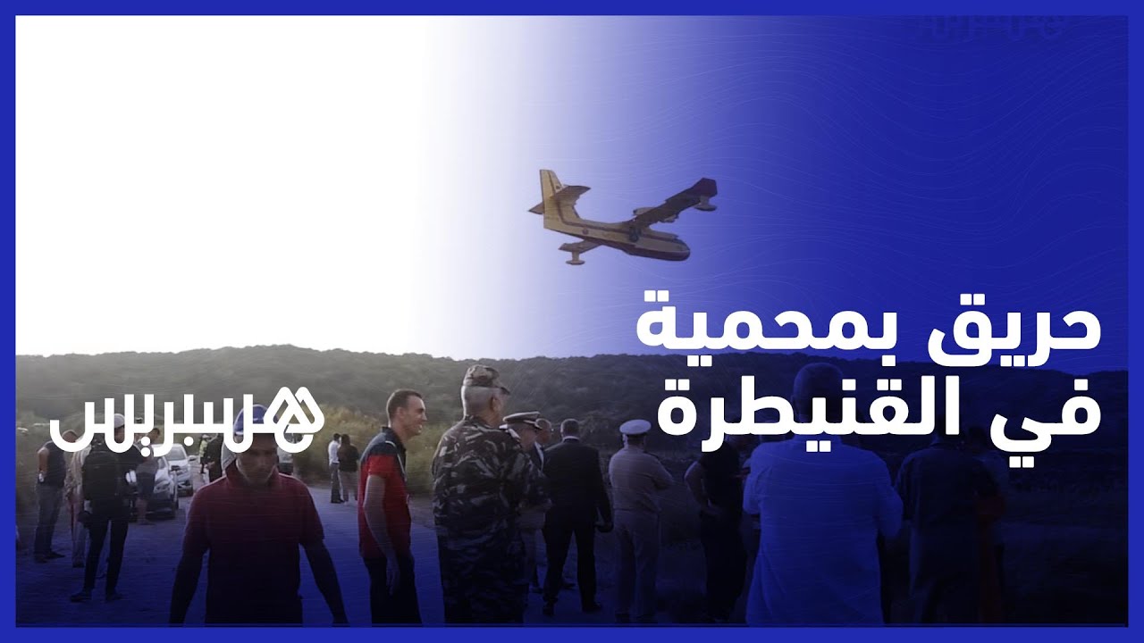حريق مهول بمحمية سيدي بوغابة في القنيطرة..وطائرات "كنادير" تتدخل في الوقت المناسب وتسيطر على الحريق thumbnail
