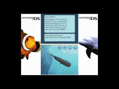 Aqua Panic ! Sauvez-les Tous !!! Nintendo DS