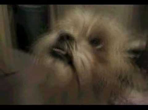 The Similou - All This Love