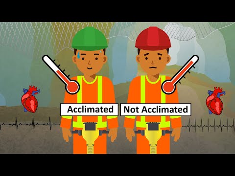 Heat Acclimatization Overview