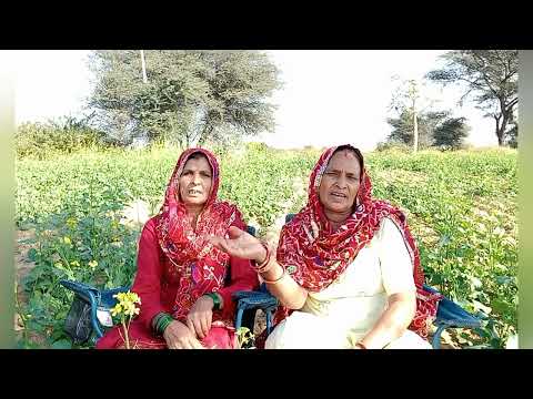 Jakadi geet॥दिल्ली में सिनेमा आरा री गौरी॥जकड़ी॥Jakadi song॥जकड़ी गीत॥jakdi Konkan 🙏