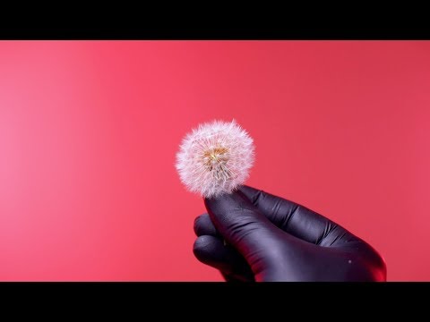 Jackson Fiasco - Out of Space (Official Video) ft. NORA