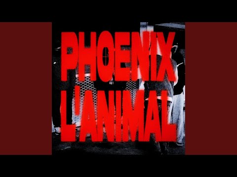 PHOENIX L'ANIMAL