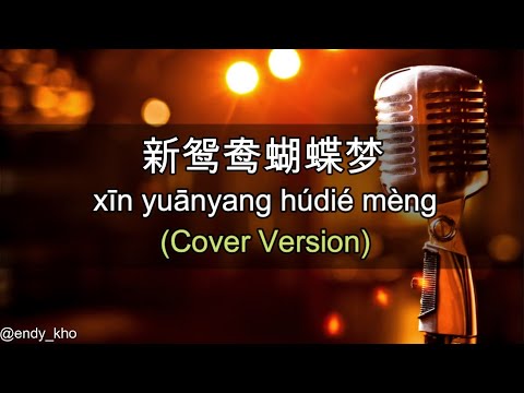 Xin yuan yang hu die meng - 新鸳鸯蝴蝶梦  (New Version Arrangement ] COVER - Endy Kho