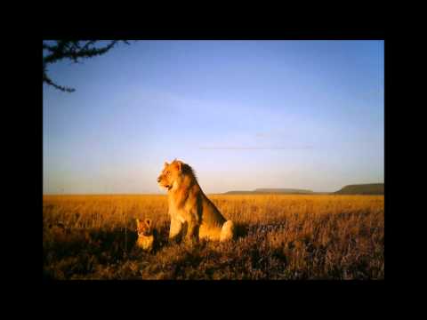 Afrika video thumbnail