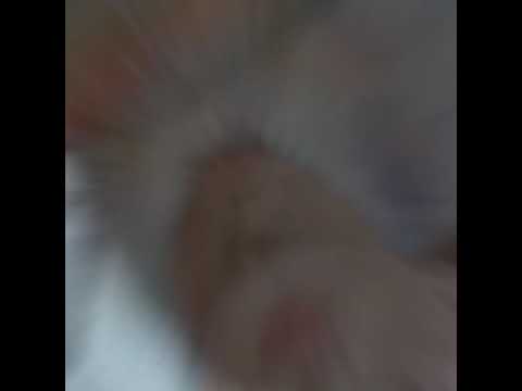 Nct Mark (If I Fall)