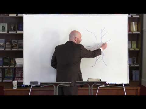 The Pauline Foundation