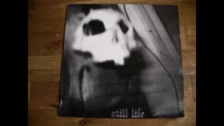 Still Life - Limitations Boundaries and Failures