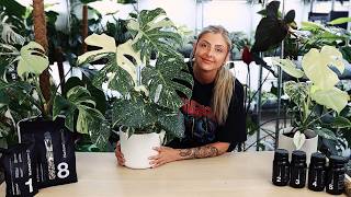 NEW MERCH! + New Nurturesystem Products + Gorgeous Monstera!